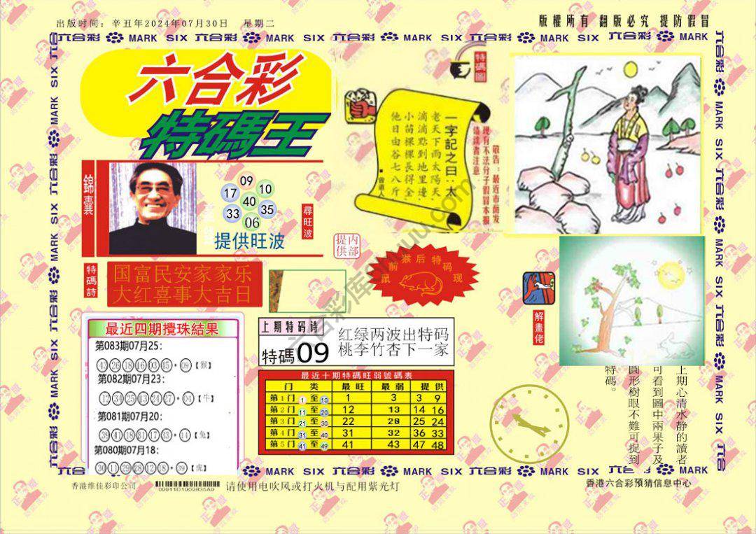 特码王