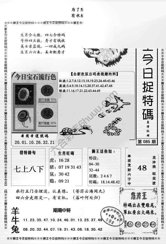 狮王今日抓特码