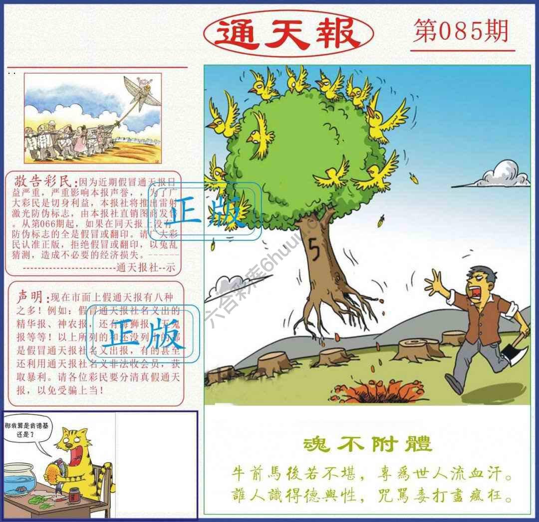 正版通天报