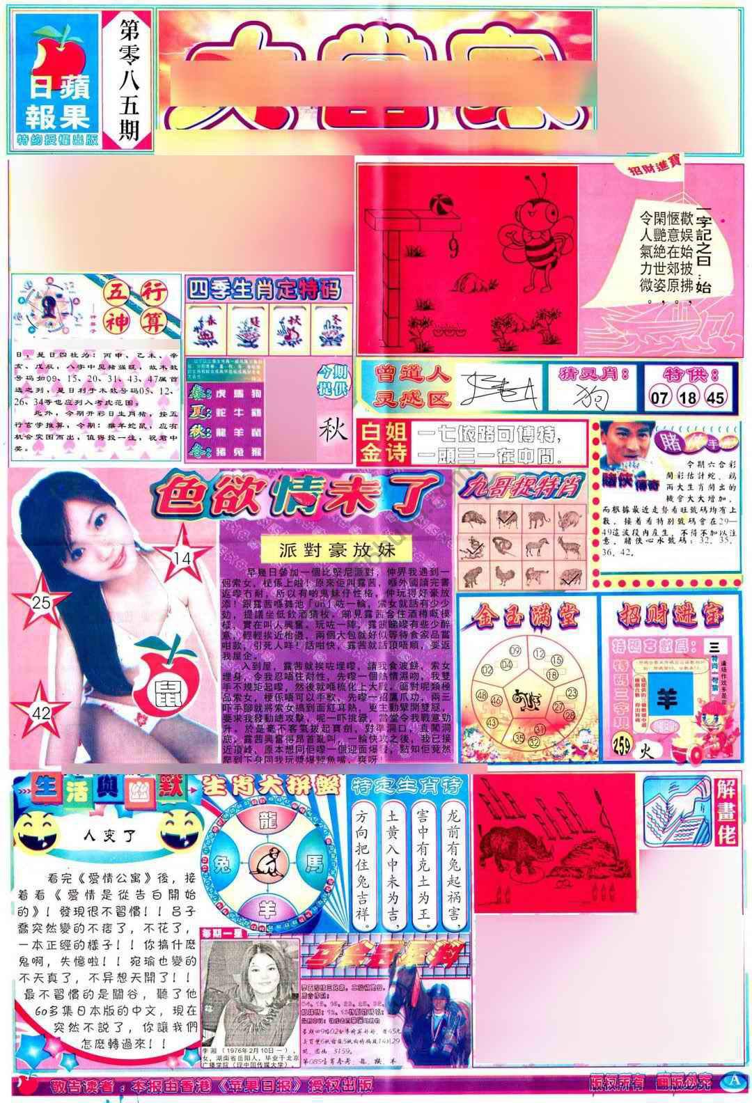 大当家