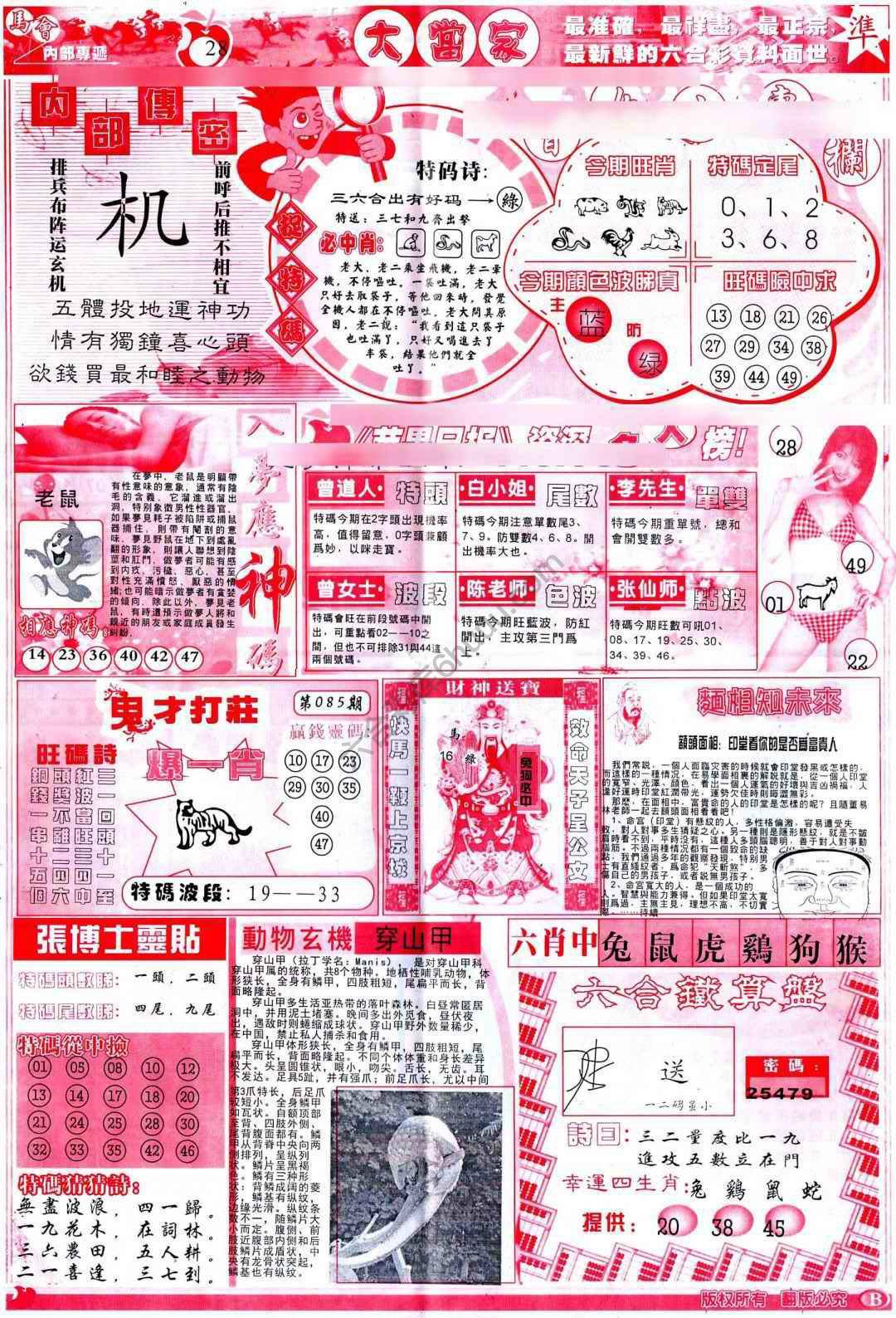 大当家