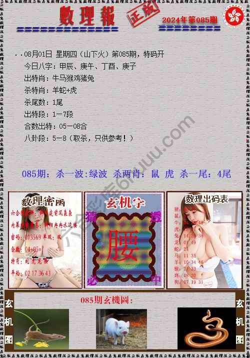 数理报
