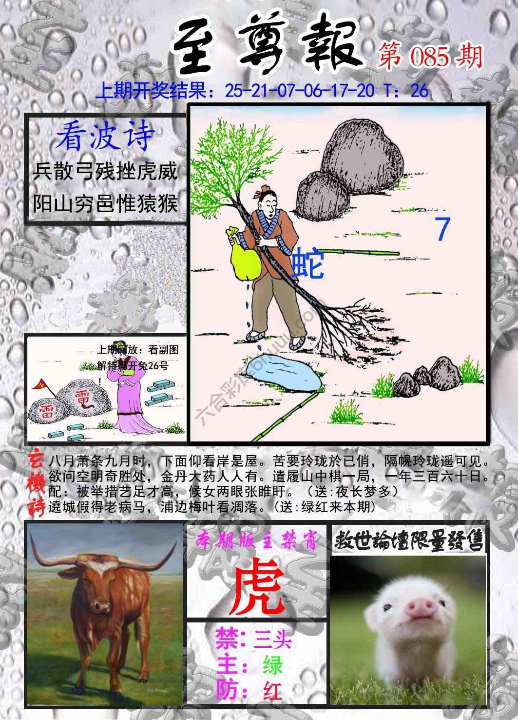至尊报