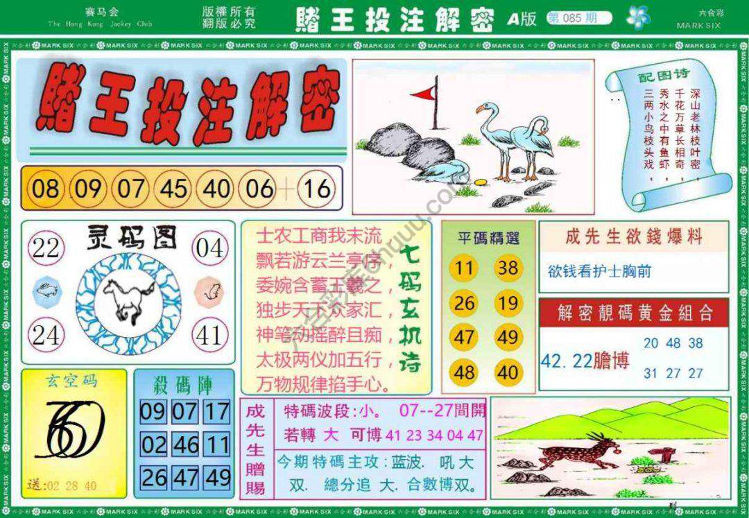 赌王投注解密