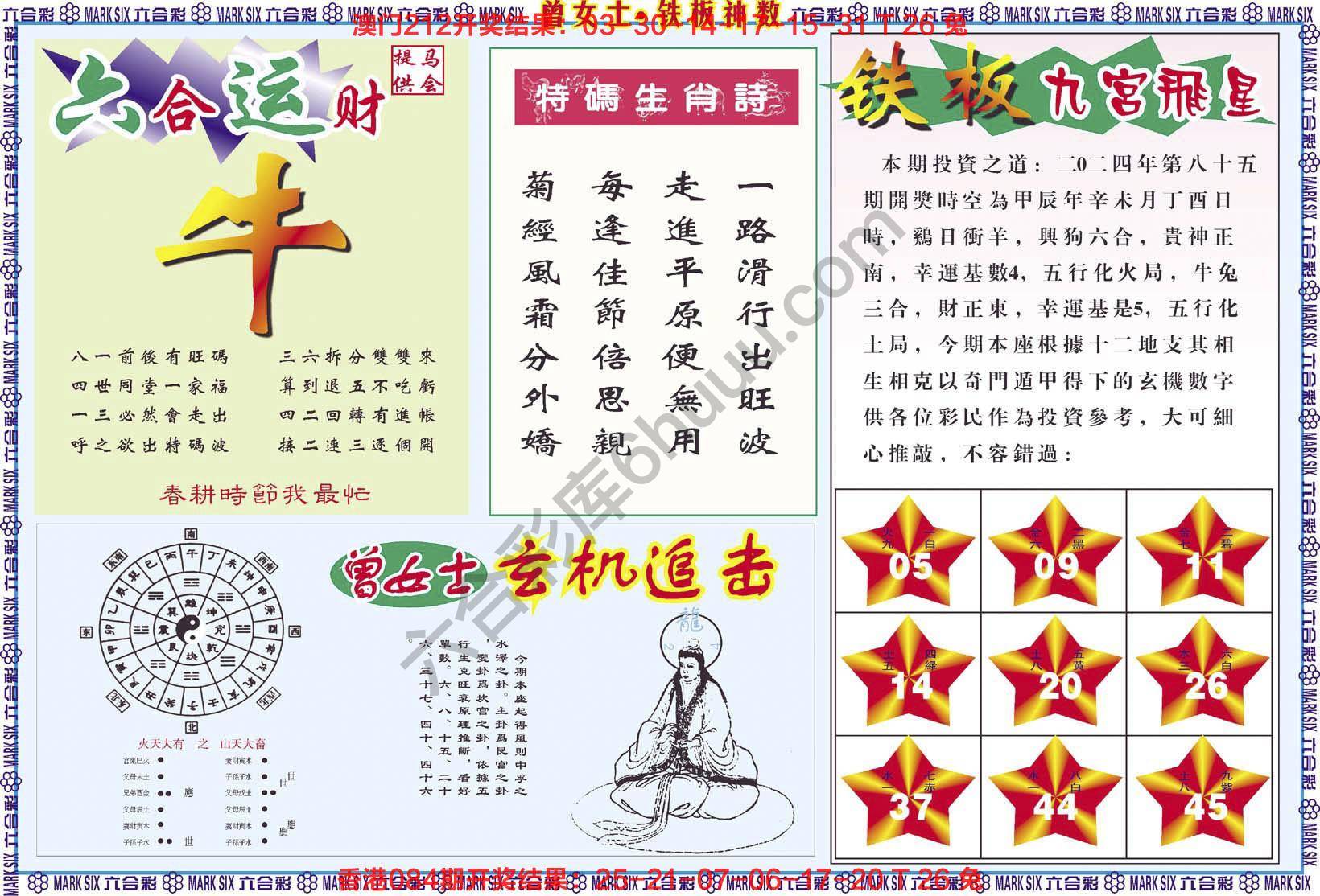 曾女士铁板神数