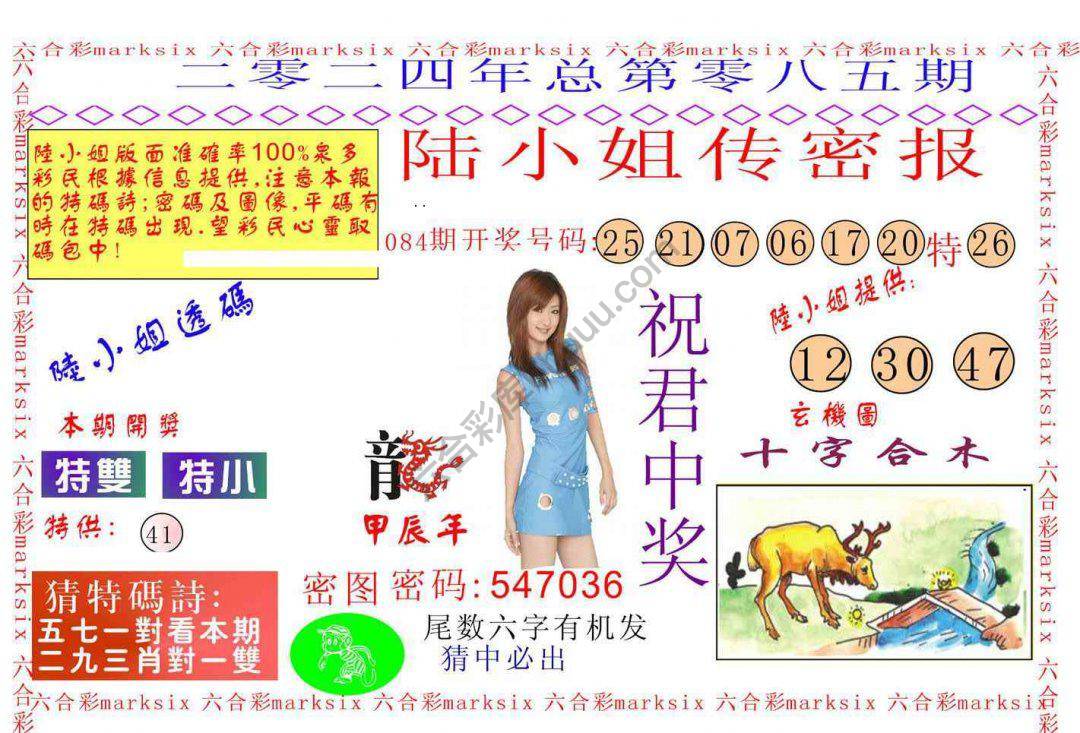 陆小姐传密