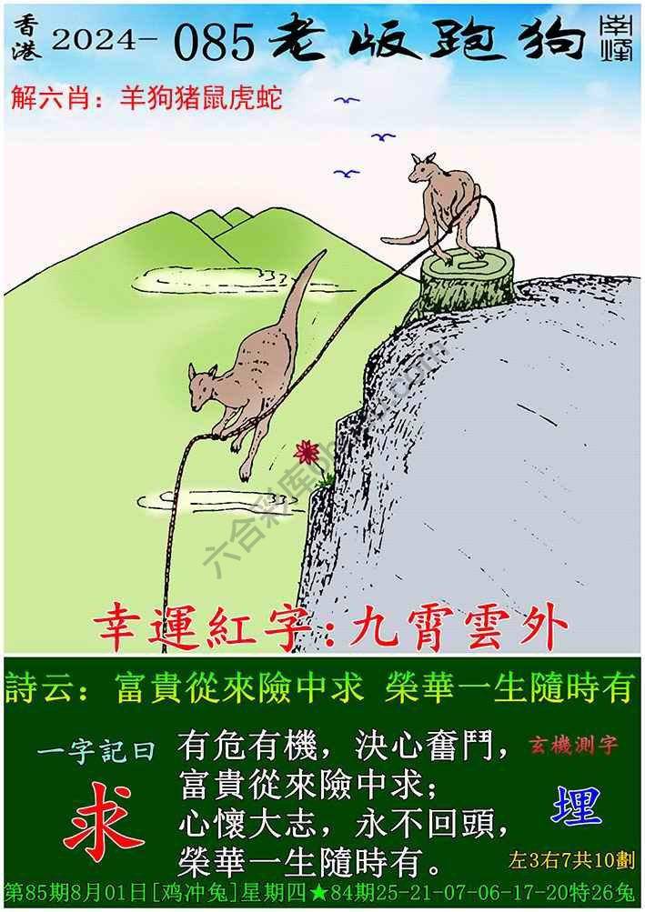 老版跑狗图
