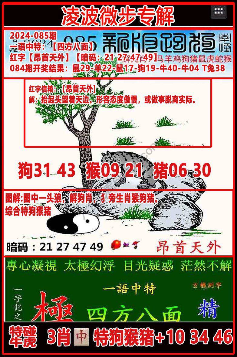 凌波微步解跑狗