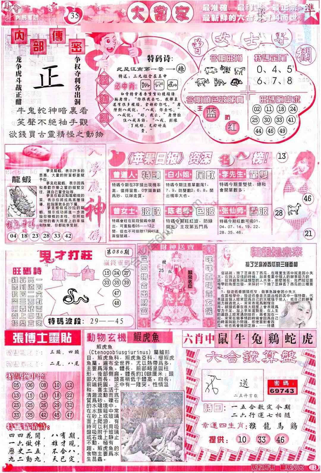 大当家