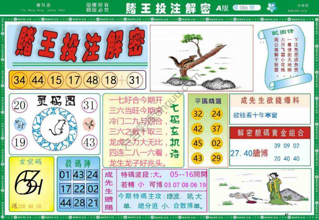 赌王投注解密