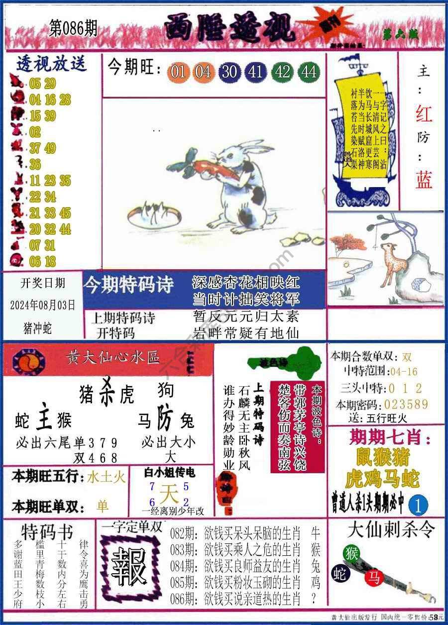 西陲透视（正版）