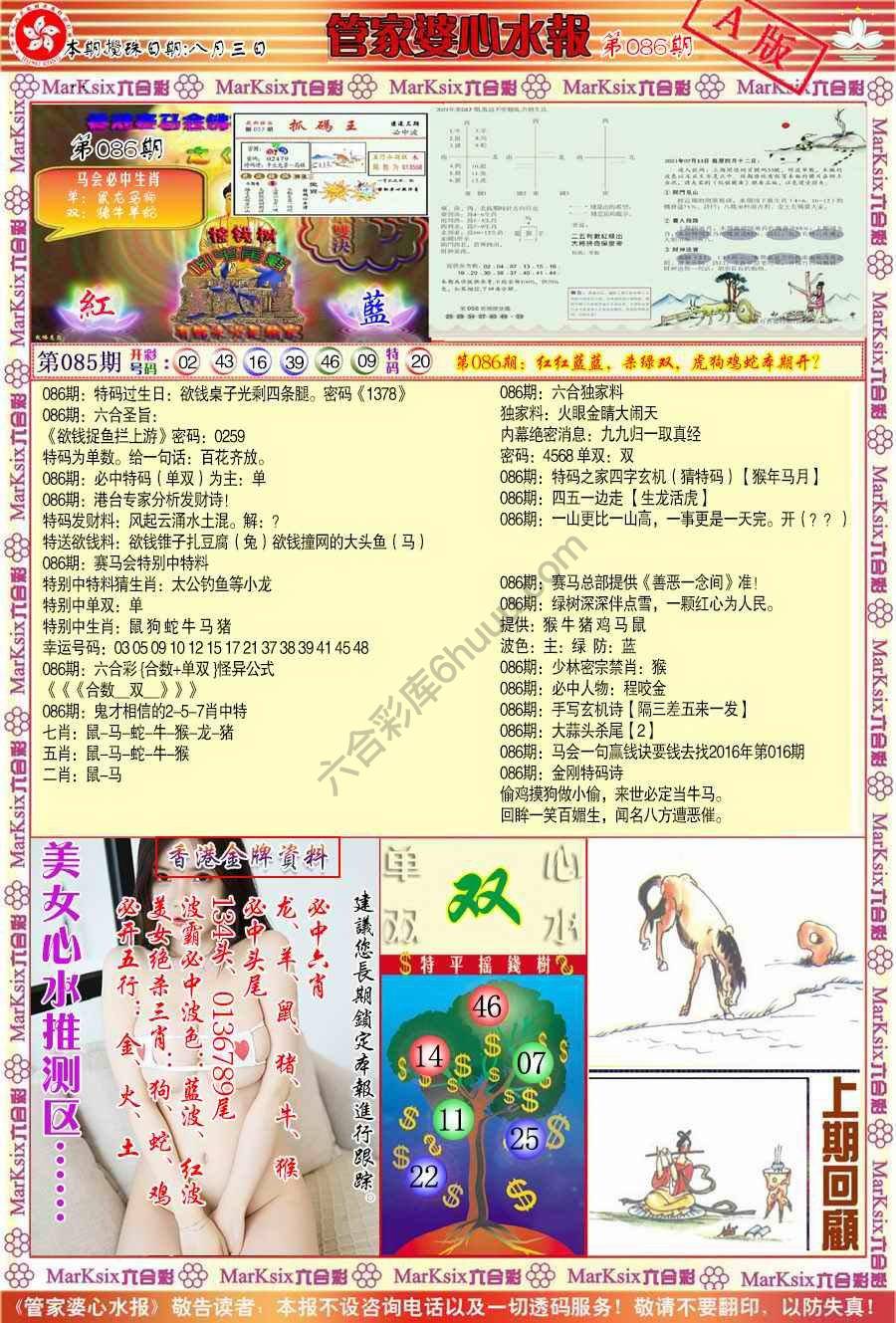 管家婆心水报