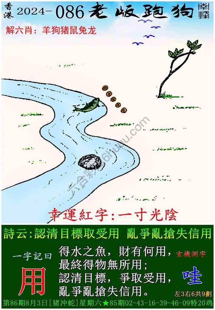 老版跑狗图