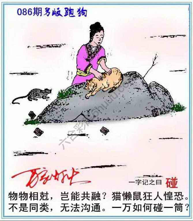 另版跑狗