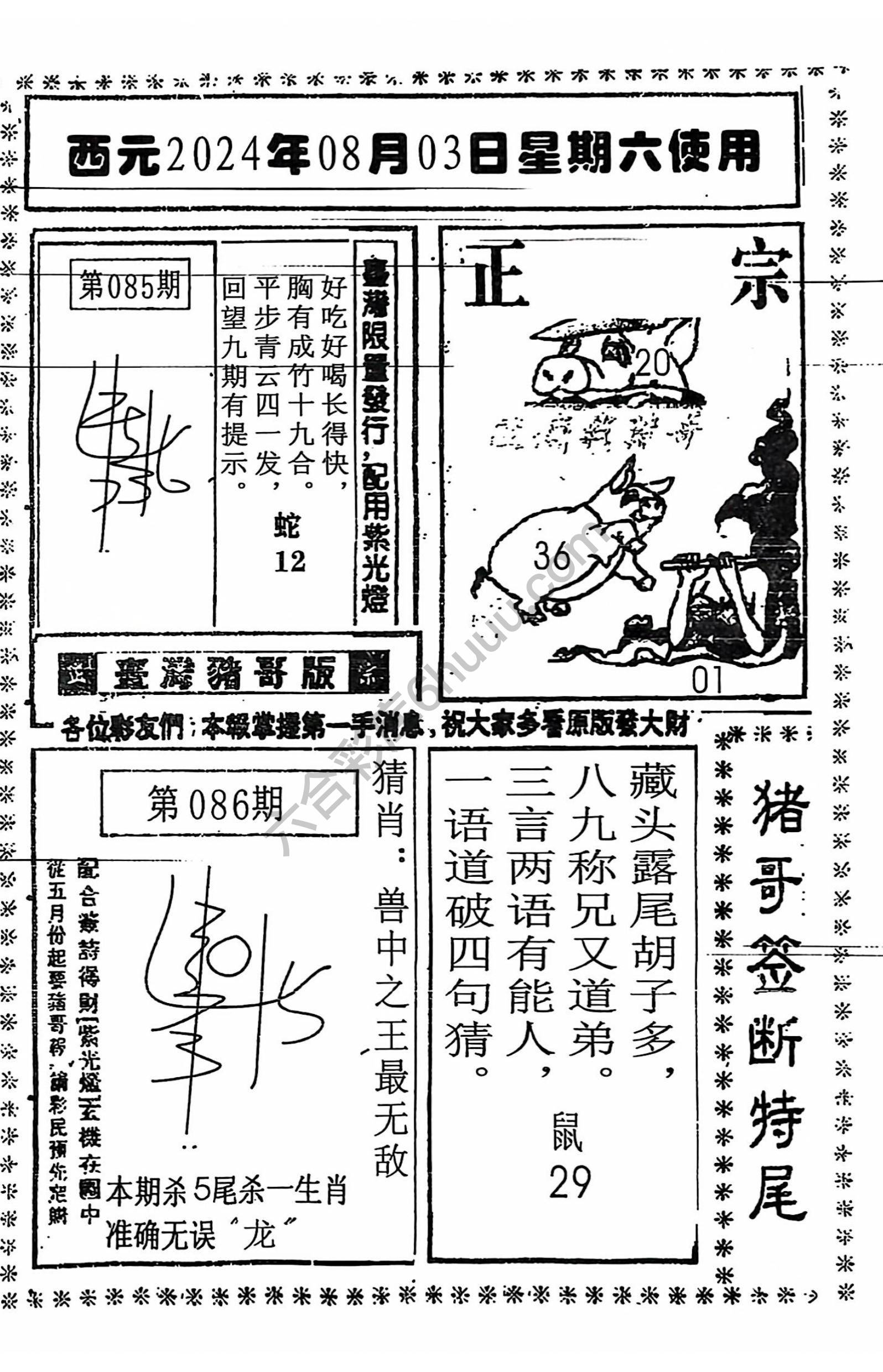 猪哥签断特尾