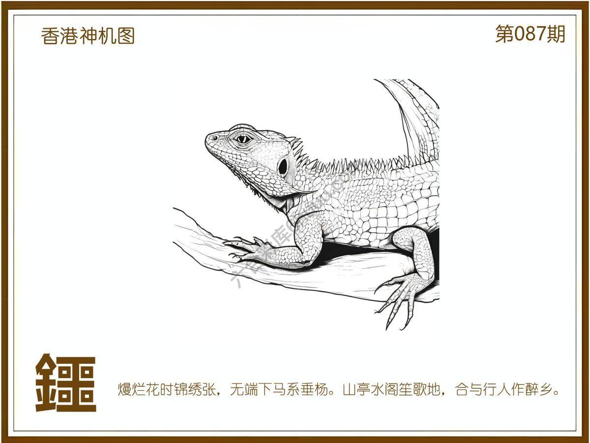 澳门神机图