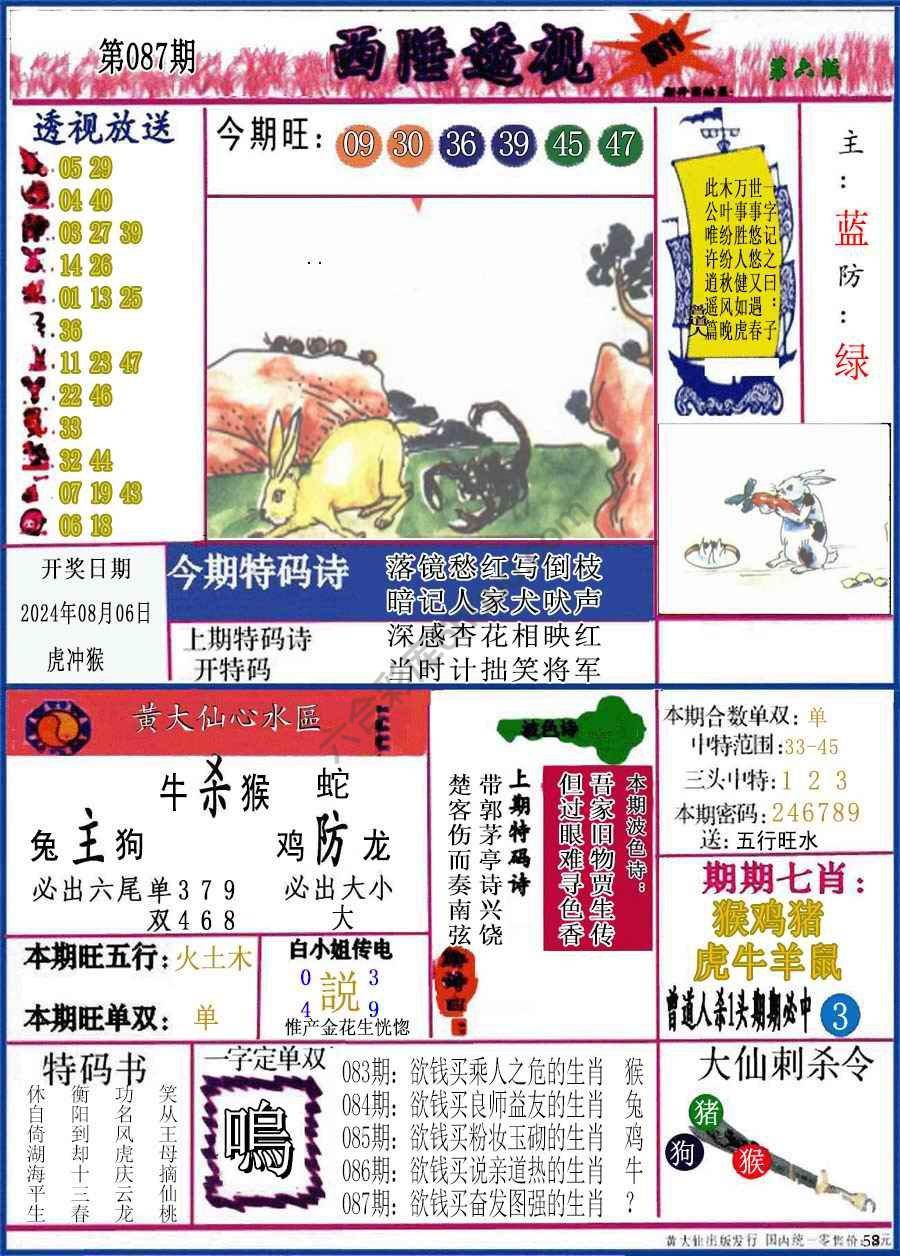 西陲透视（正版）