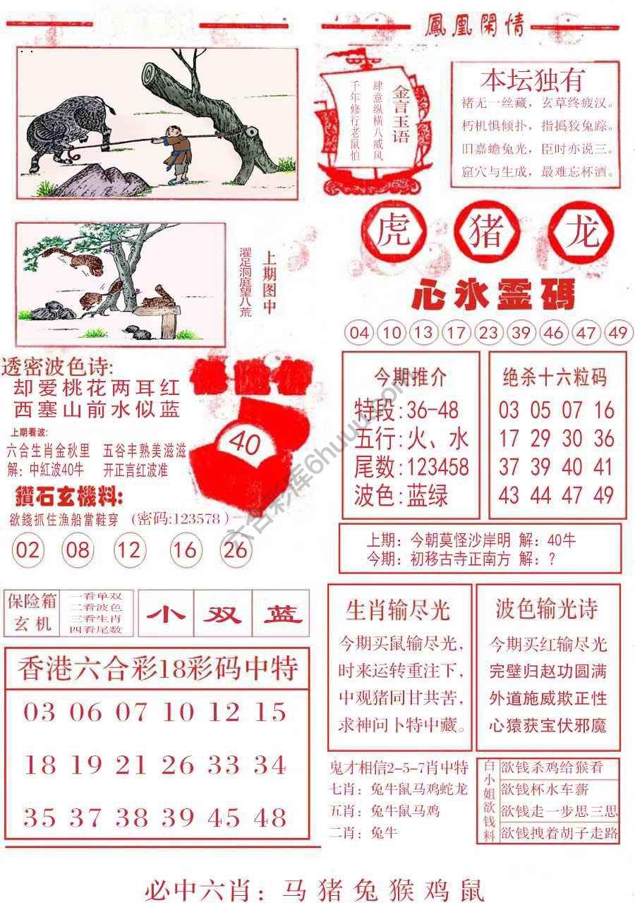 凤凰闲情