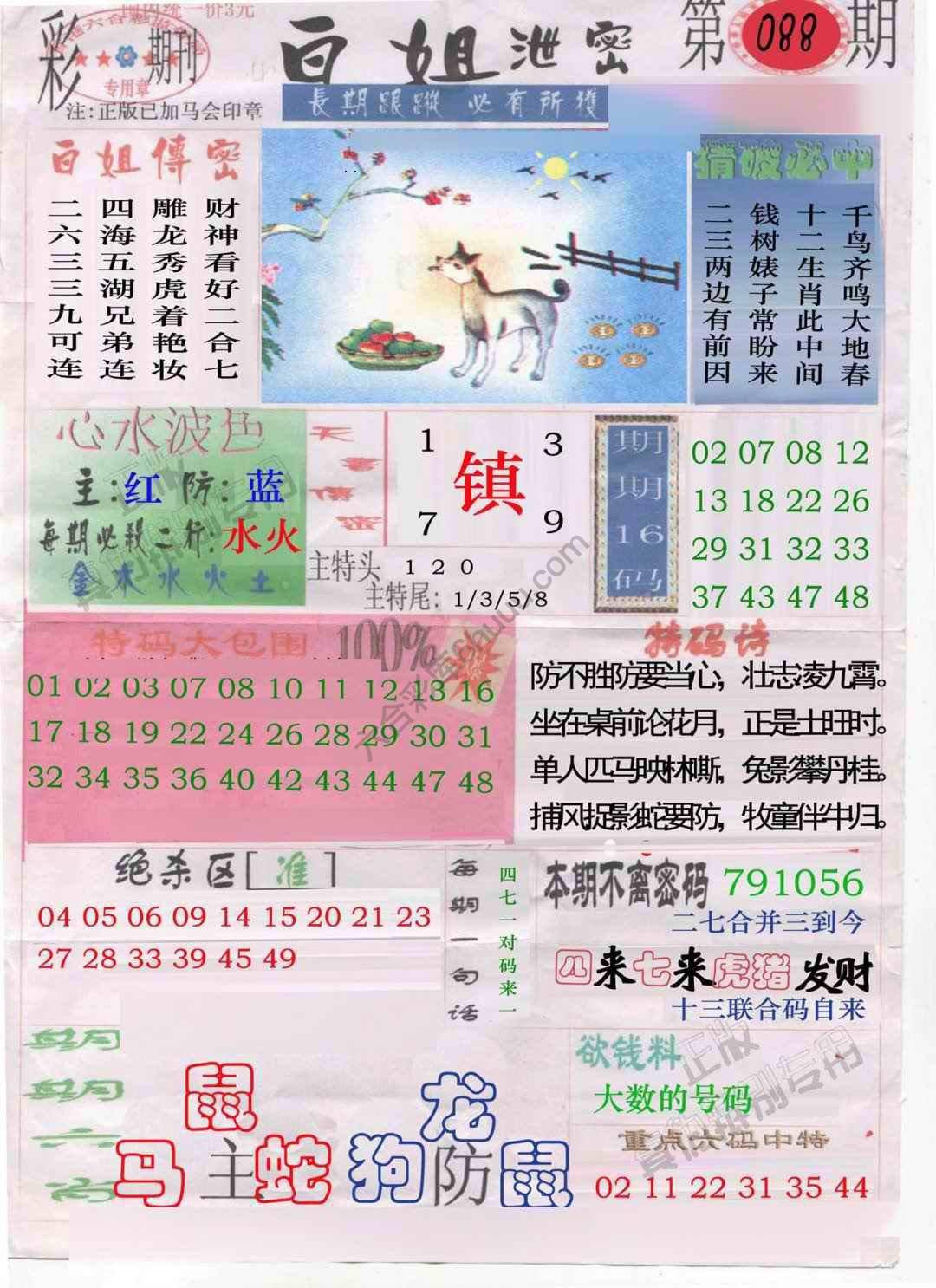 白姐泄密