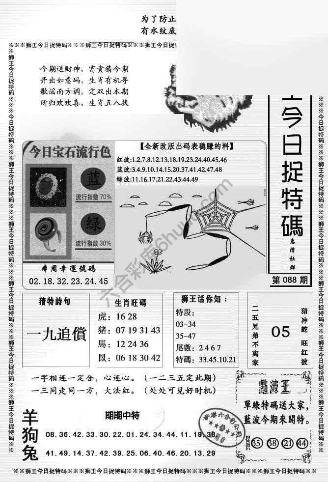 狮王今日抓特码