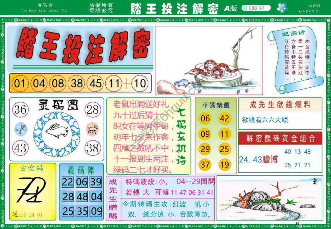赌王投注解密