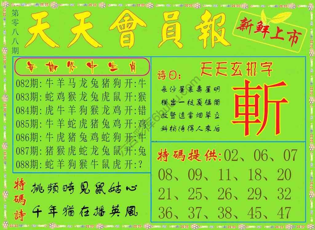 天天会员报