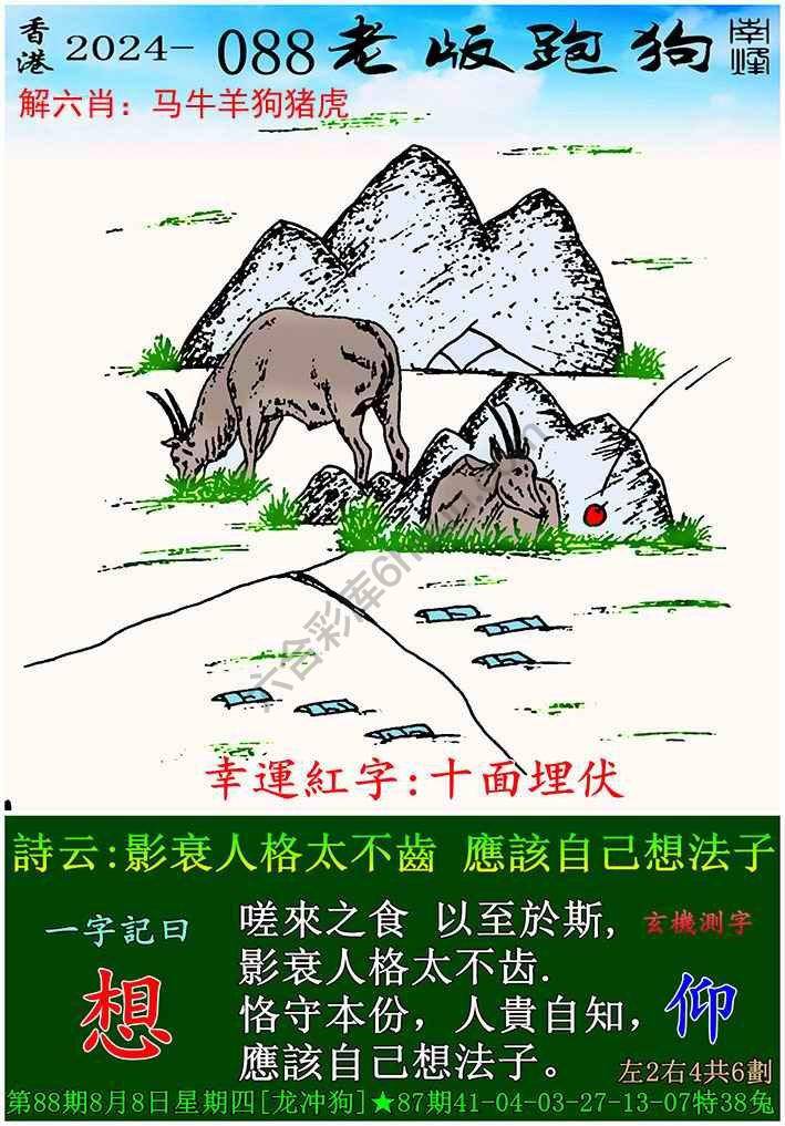 老版跑狗图