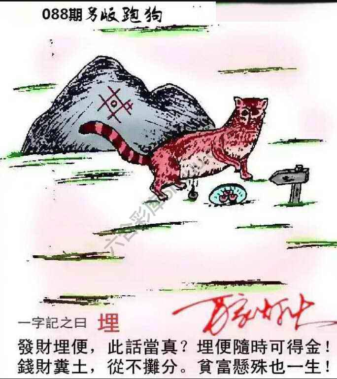 另版跑狗