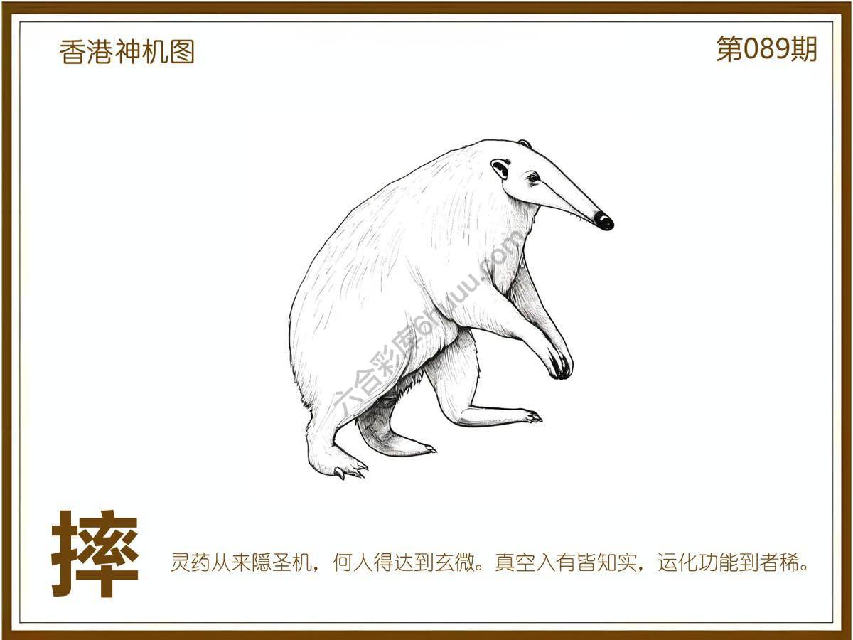 澳门神机图