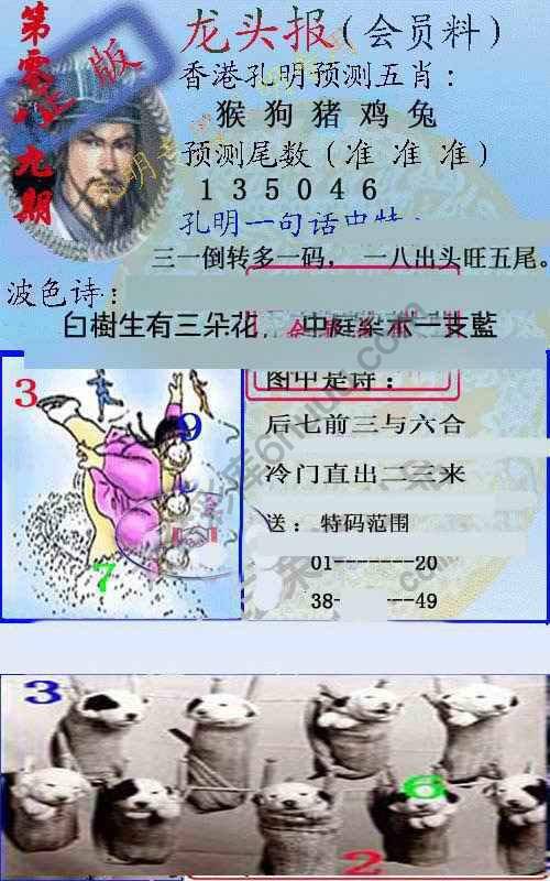 龙头报