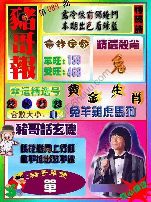 猪哥报