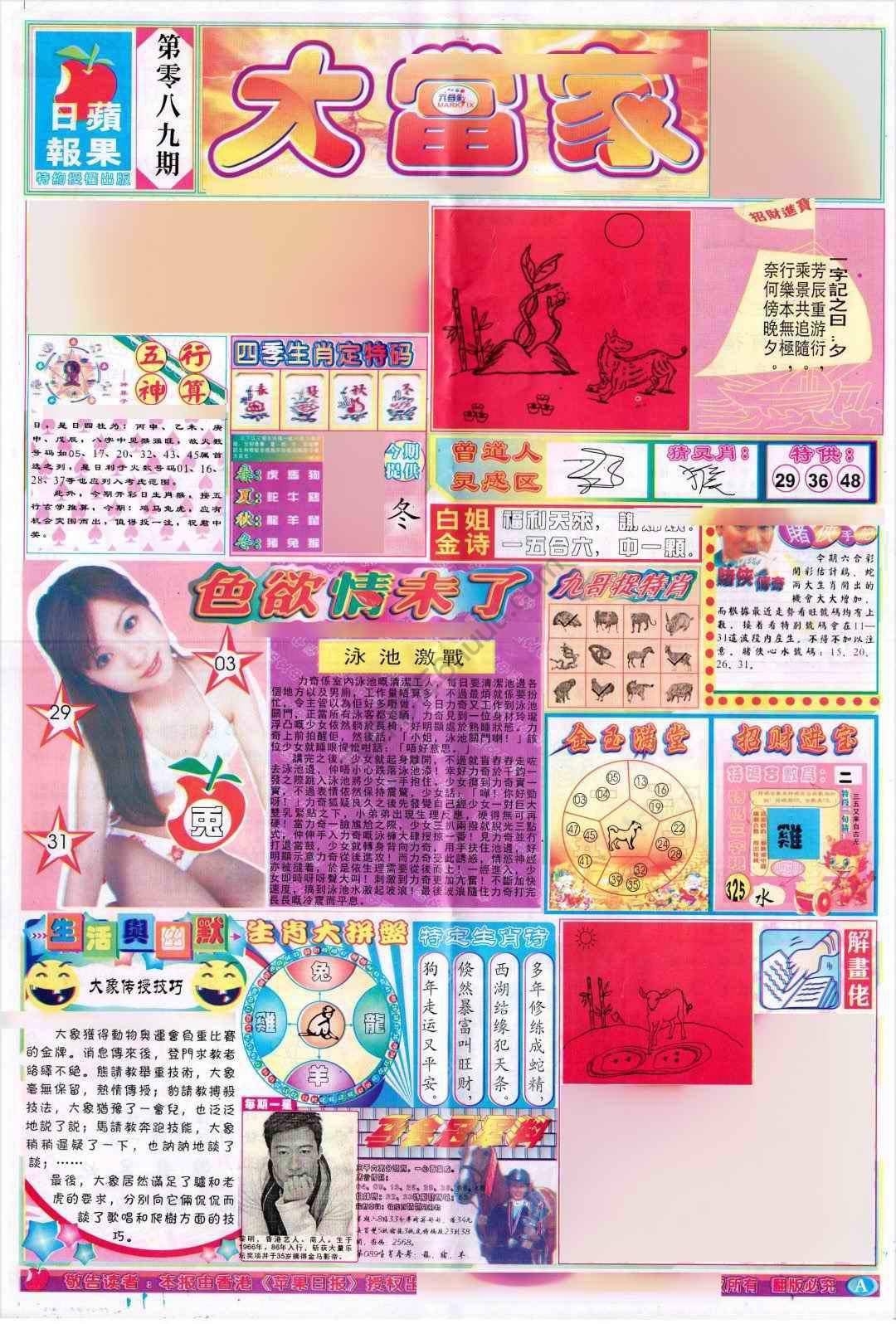 大当家