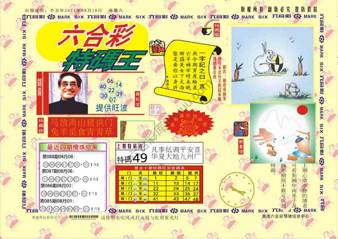 特码王