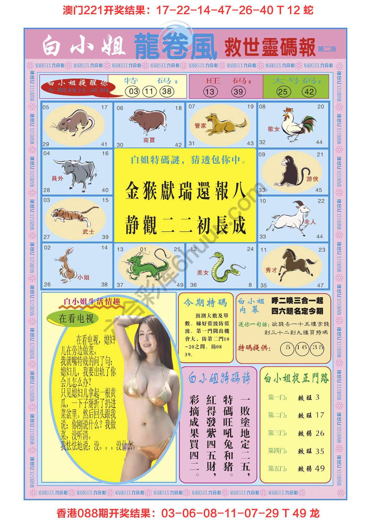 白小姐龙卷风
