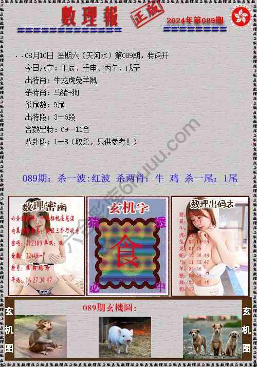 数理报