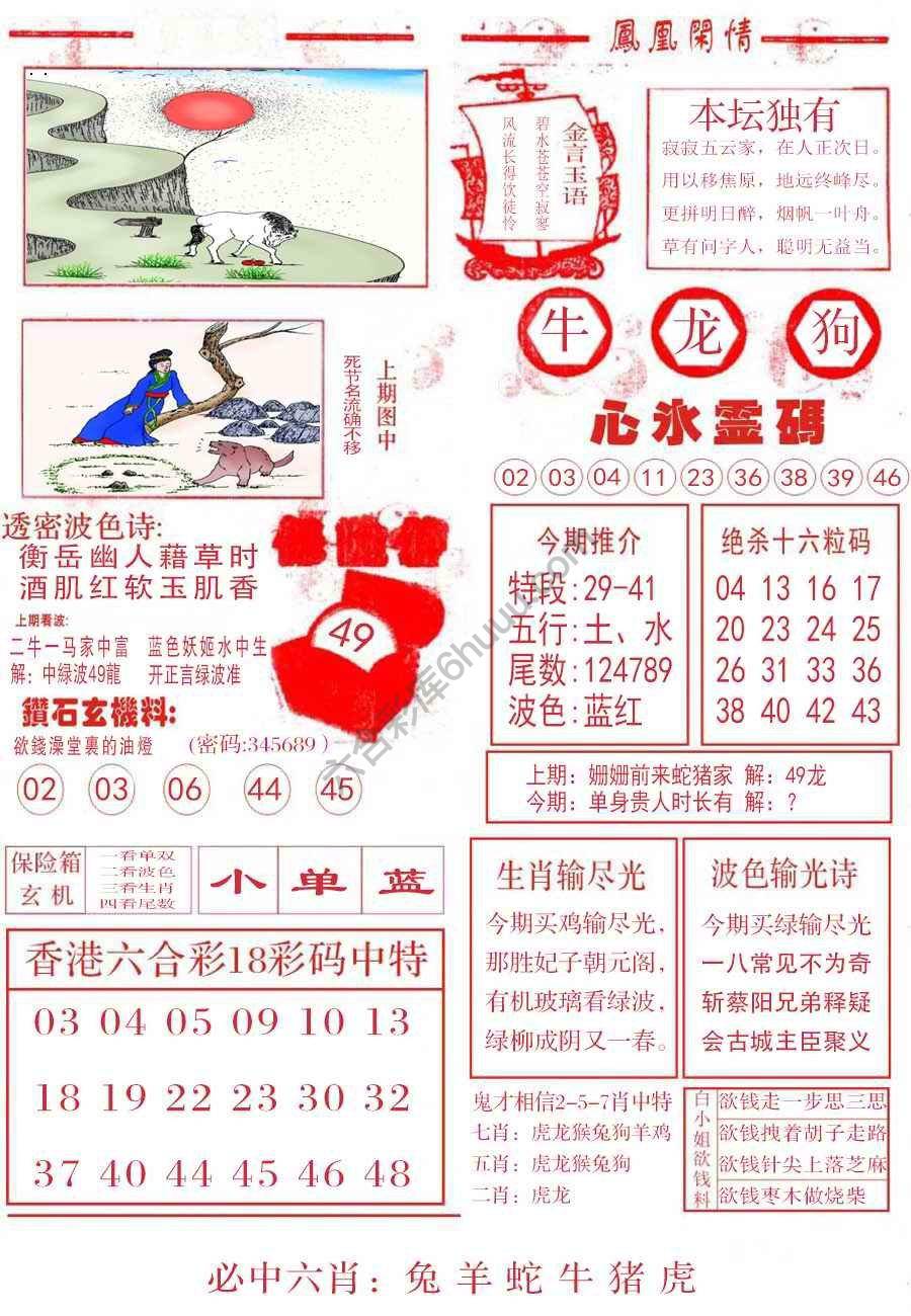 凤凰闲情