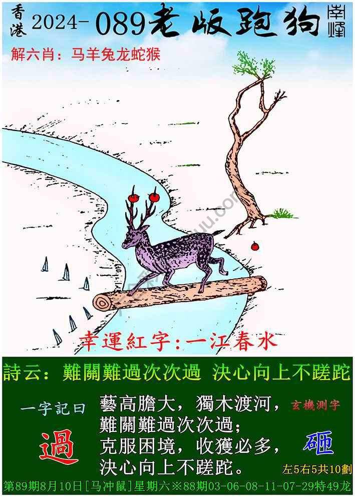 老版跑狗图