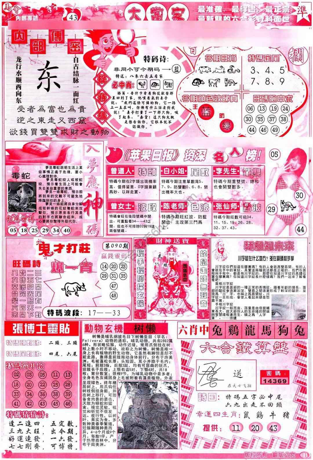 大当家
