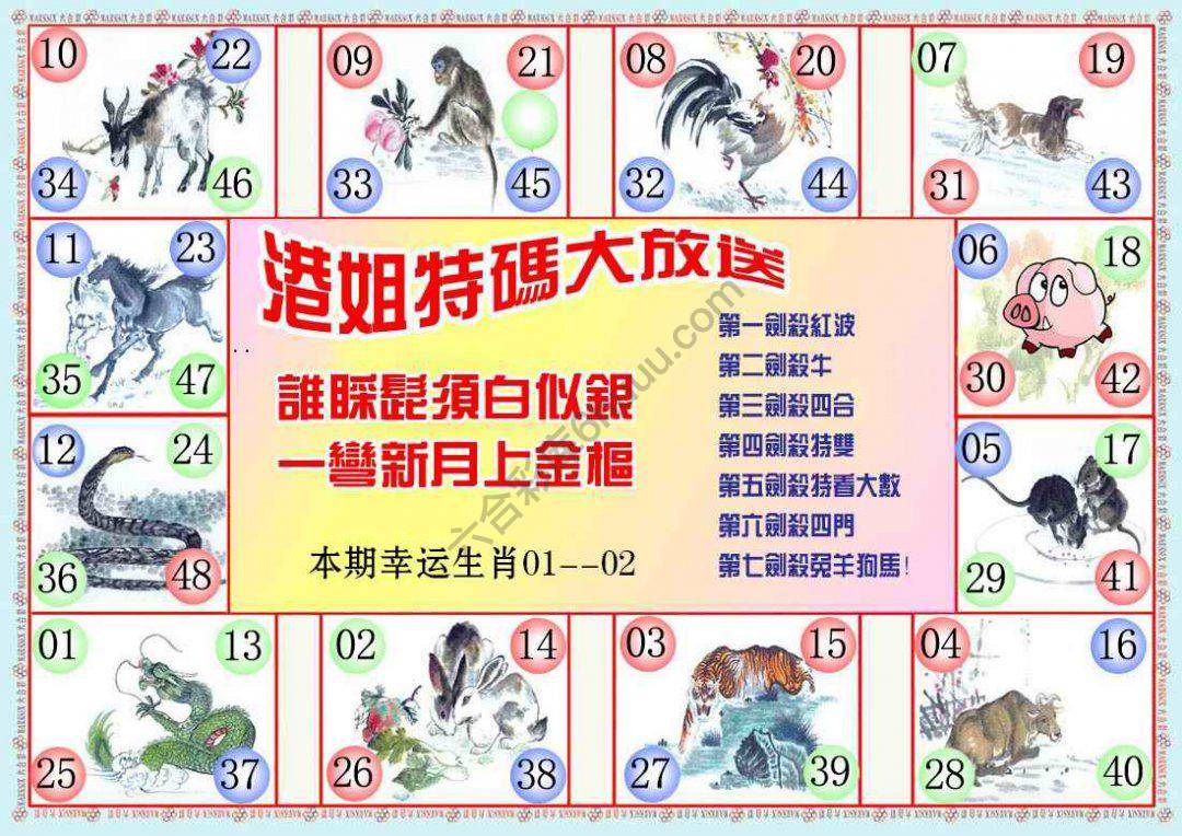 港姐密报