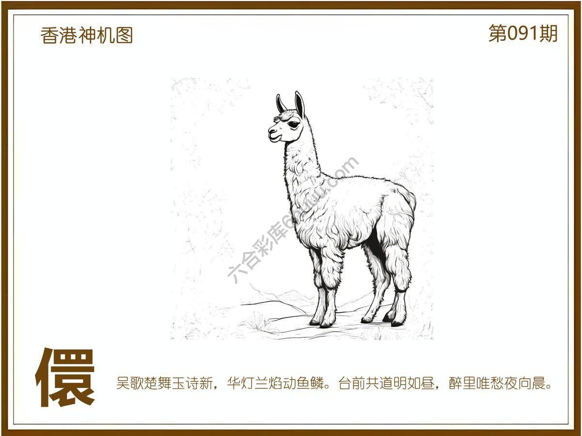 澳门神机图