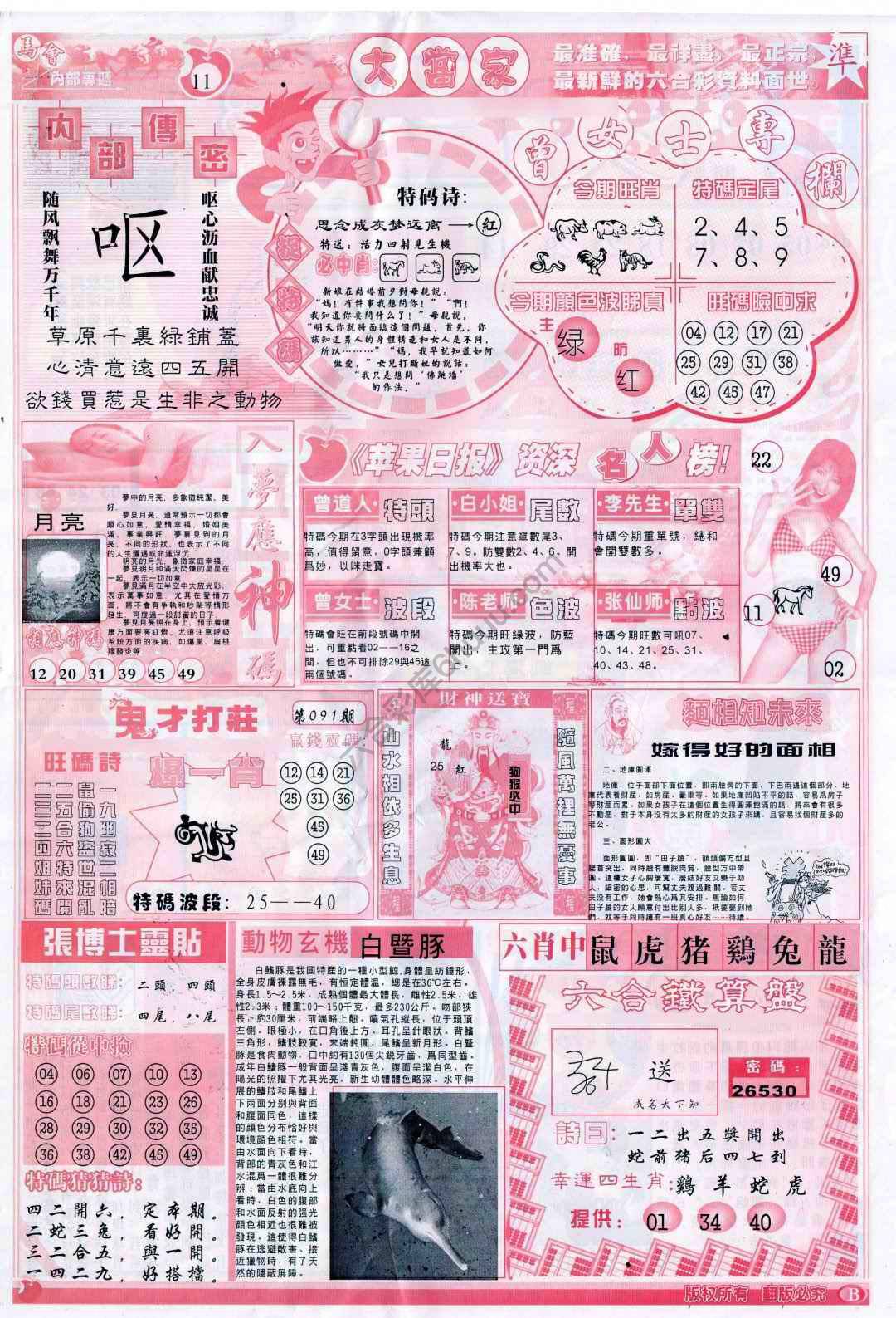 大当家