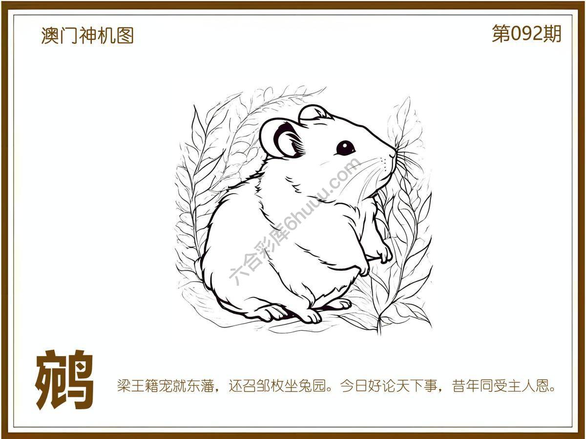 澳门神机图