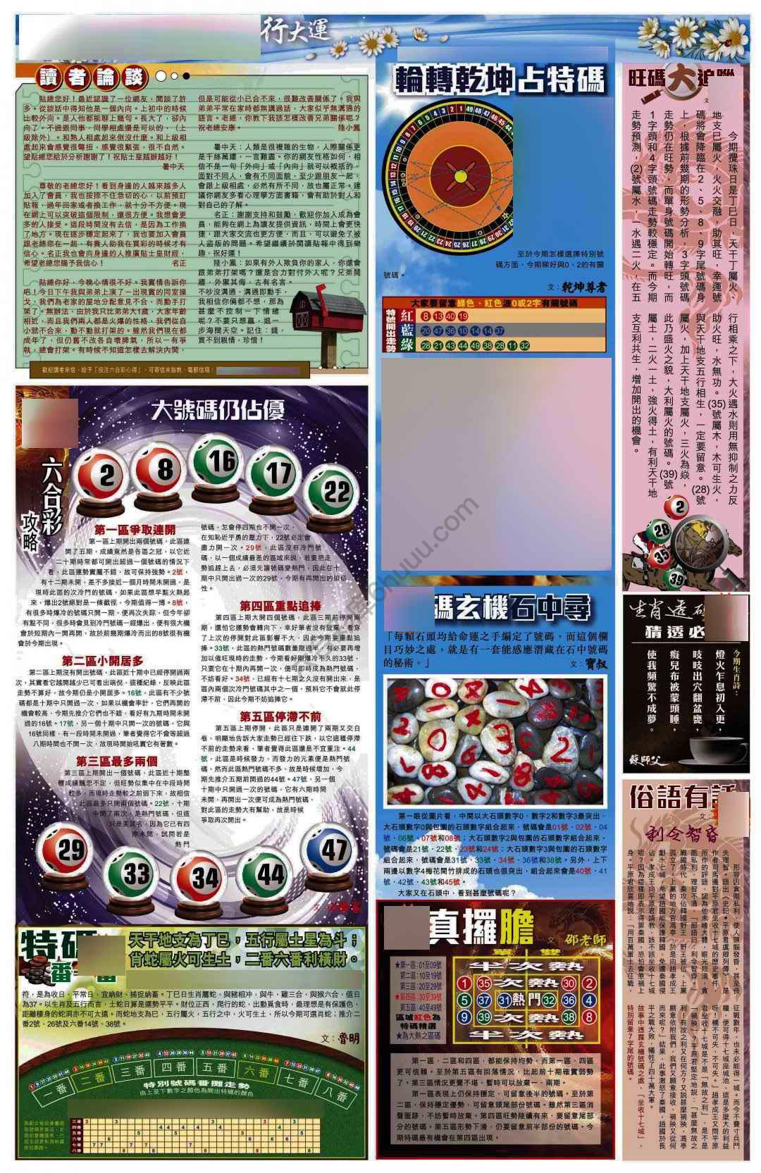 大版贴士皇