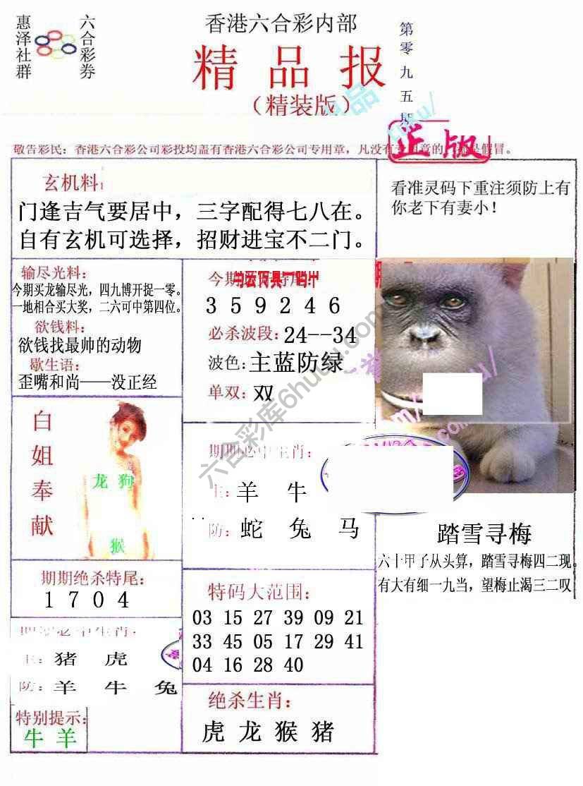 新精品报
