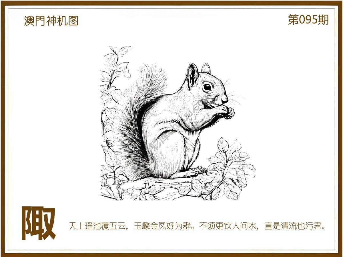澳门神机图