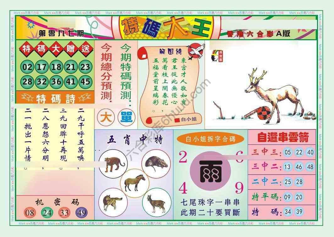 特码大王