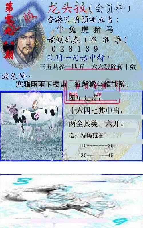 龙头报