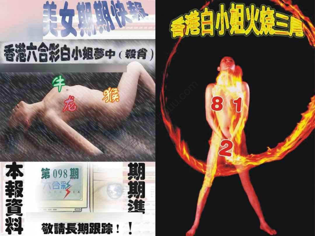 环球美女特码报
