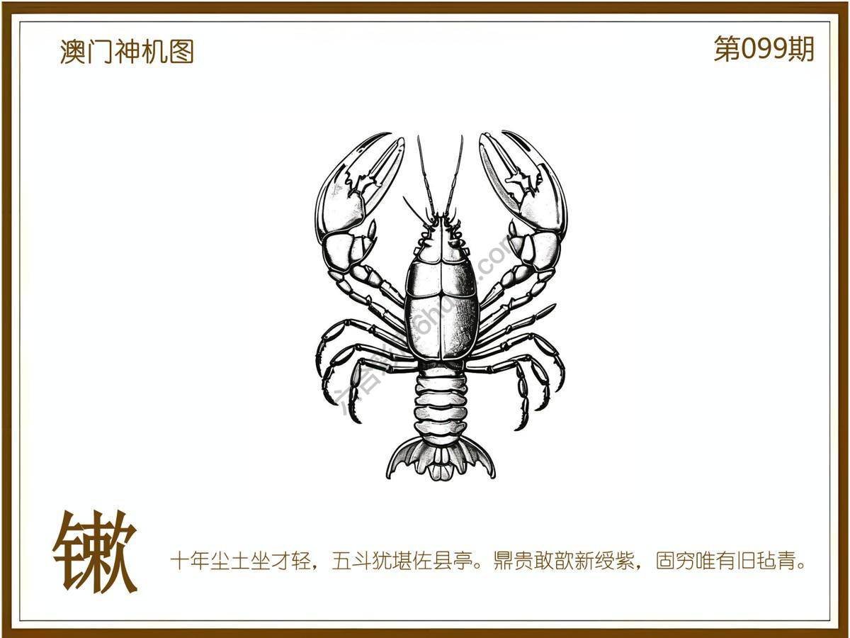 澳门神机图