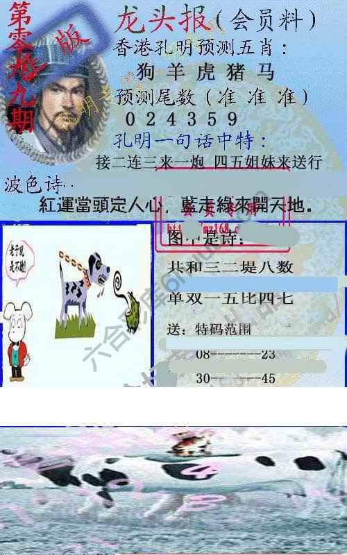 龙头报